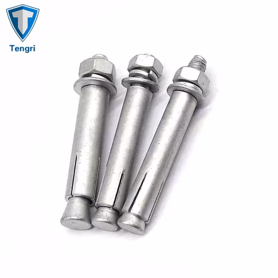 4.8class 강철 앵커 볼트 핫 DIP 아연 도금 확장 볼트 M10 M8 콘크리트 앵커